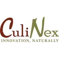 CNX Logo