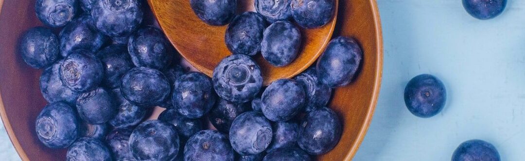 Harnessing Blueberries’ Implicit Appeal in Food Innovations