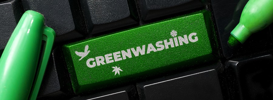 Sustainability 2100: Communicating Sustainability Performance Without Greenwashing